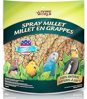 Living World – Millet Spray for Birds, 17.6 Oz – Premium Treat for Budgies, Canaries, Finches, Cockatiels and Other Pet Birds