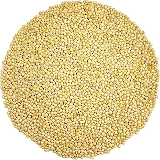 Olympus Myco White Proso Millet Seeds for Birds - 10 lbs Unhulled, Bulk Wild Bird Seed, Ideal for Bird Feeders