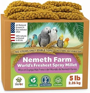 Nemeth Farms Worlds Freshest GMO-Free, Sun Dried Spray Millet No Stems Only Edible - Tops-Original Bird Treat and Supplement for Pet Birds Parakeets, Cockatiels, Lovebirds and Finches - 5lbs