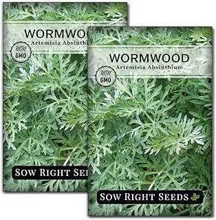 Sow Right Seeds - Wormwood Seeds for Planting - Non-GMO Heirloom Packet with Instructions to Plant & Grow an Outdoor or Indoor Herb Garden - Sagewort Repels Mosquitoes - Medicinal Worm Wood Herb (2)